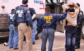 Власти США арестовали первого мигранта с разрешением на работу