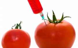 ГМОпомидоры могут вновь стать вкусными Нам это надо