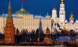 Соотечественники достучались до Кремля