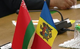 Молдова и Беларусь расширят сотрудничество в сельском хозяйстве
