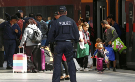 Власти Германии насчитали 10 нападений на мигрантов в день