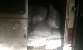 5 tone de cărbune de contrabandă urmau să ajungă în Moldova