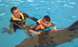 Дельфины помогают лечить детей