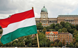 Moldova și Ungaria vor intensifica colaborarea în sfera agriculturii 