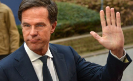 Partidul al premierului Mark Rutte a cîştigat detaşat alegerile din Olanda