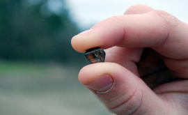 Un adolescent din SUA a descoperit un diamant valoros FOTO