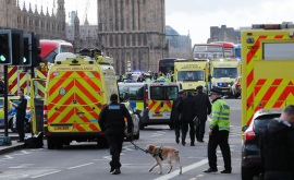 Atacul de la Londra Poliţia a revizuit bilanţul la patru morţi