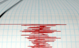 В России произошло сильное землетрясение есть угроза цунами