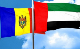 Молдова ждет инвесторов из ОАЭ