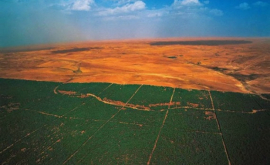 Marele zid verde din Africa va opri înaintarea pustiului pe timp scurt
