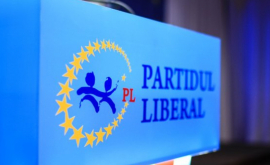 Comisia Parlamentară a susţinut iniţiativa liberalilor