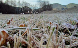 Guvernul le va achita compensații fermierilor afectați de înghețuri