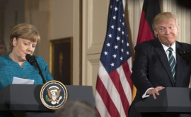 Трамп и Меркель обсудили по телефону Украину и Афганистан