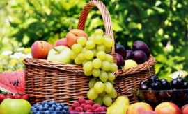Как употребление фруктов влияет на увеличение мозга