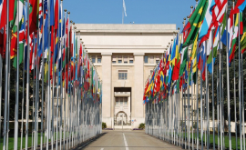 Представитель Молдовы в Женеве возглавил комитет ВТО