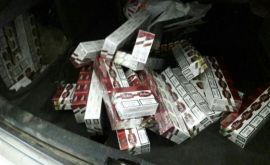 Captură impunătoare de țigări de contrabandă la Costești