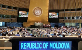 Молдове в Женеве дали советы по устранению барьеров в торговле