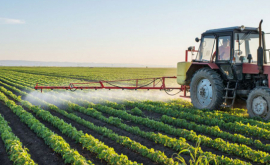 Молдова и Украина реализуют новые проекты в аграрной отрасли