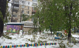 În capitală ciclonul a avariat cîteva școli și grădinițe FOTO