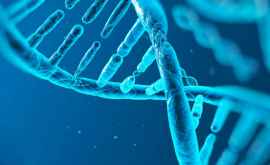 Identificarea ADN ale oamenilor preistorici posibilă chiar și în absența rămășițelor