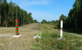 Lituania construiește un gard la granița cu Rusia