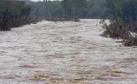 Prăpăd provocat de ploi Mai multe gospodării inundate VIDEO FOTO
