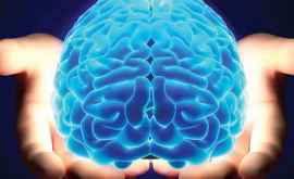 Мозг может остаться без оперативной памяти как жесткий диск