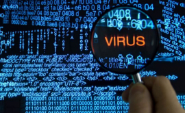 Un programator britanic a zădărnicit atacul unui virus periculos