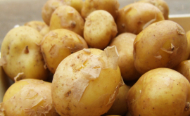 Cartofi plini de nitrați în piețele din Chișinău