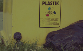 Autorităţile vor aplica amenzi pentru gunoiul din plastic VIDEO