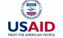 Проект USAID предлагает гранты пчеловодам 
