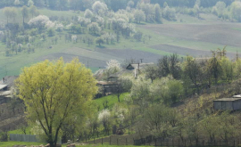 Suprafaţa ariilor protejate din Moldova sa extins 