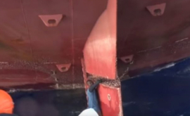 Береговая охрана обнаружила мигранта висящего на носу корабля ВИДЕО