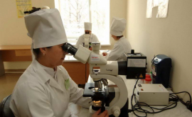 Medicii din Moldova vor fi instruiți de specialiști turci