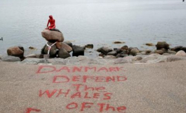 Mica Sirenă din Copenhaga vandalizată în apărarea balenelor