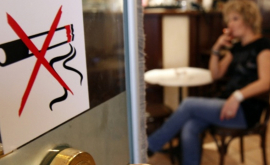 Какой штраф можно получить за сигарету в ресторане в Чехии