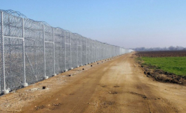 Ultima ora Lituania va construi un gard la frontiera cu Rusia