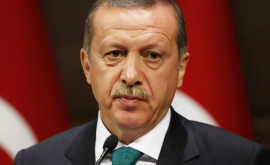 Президент Турции провел телефонные переговоры по ситуации с Катаром