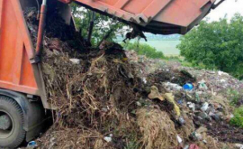 O livadă de nuci din satul Corlăteni a fost transformată în gunoiște