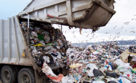 Autoritățile în căutare de soluții la problema gestionării deșeurilor 