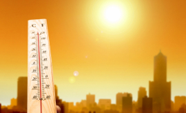 Человечеству предсказали смертельную жару