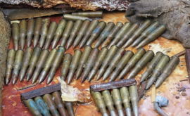 В ЛНР нашли схрон с боеприпасами