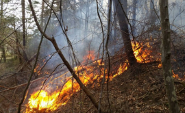 Incendiile se pot abate asupra Moldovei Autoritățile anunță mai multe măsuri
