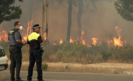 В Испании изза лесных пожаров эвакуировали более тысячи человек