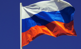 Россия Позиция председательства Австрии в ОБСЕ препятствует возобновлению переговоров