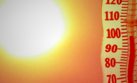 Госгидрометеоцентр планирует объявить оранжевый код опасности в связи с жарой