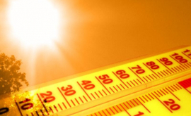 В Румынии объявлен красный код жары Ожидаются температуры до 44 градусов