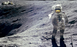 Япония решила отправить своего космонавта на Луну 