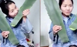 В Китае блогер случайно съела ядовитое растение и попала в больницу