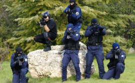 În Italia au fost arestați peste 100 de membri ai mafiei